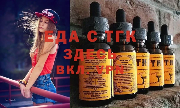 индика Бронницы